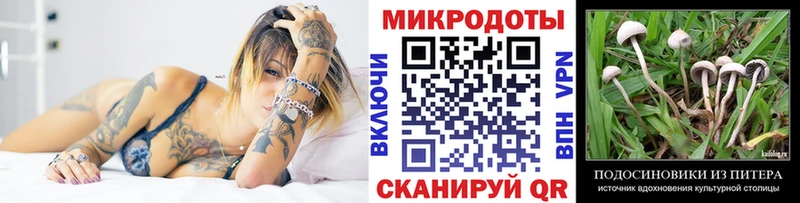 Галлюциногенные грибы Psilocybine cubensis  Райчихинск 